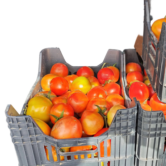 Tomato 1 box