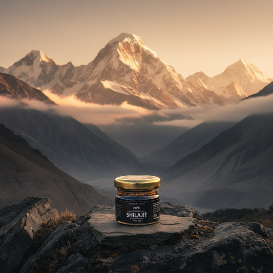 Kashmiri Shilajit,20g