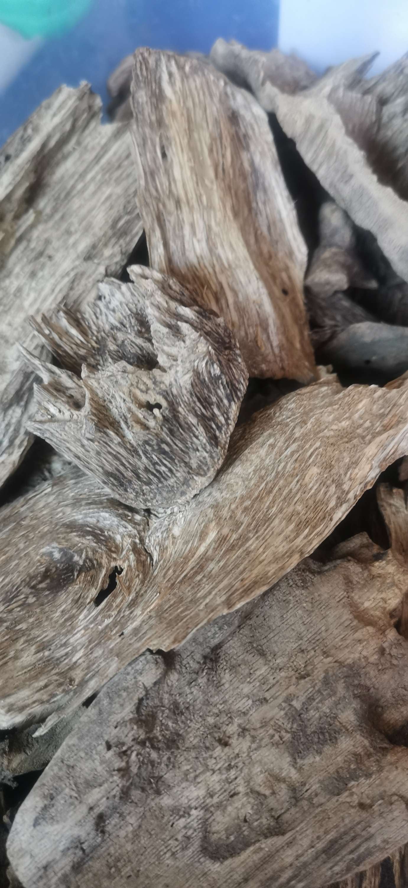 Indonesian Oud Simbawa forest, 12g